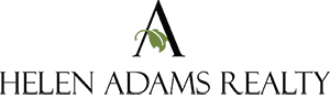 Anish Shah logo